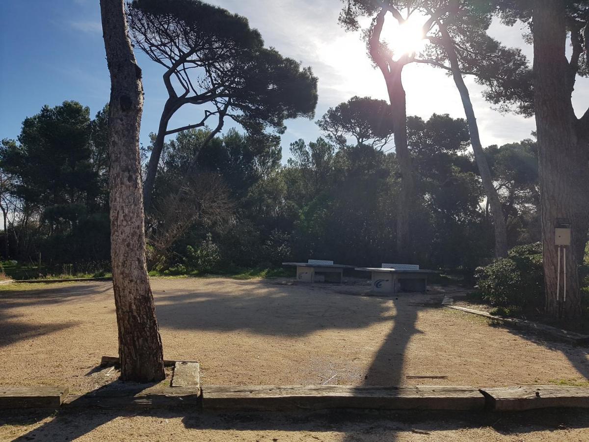 Le Studio De Giens Hyères Zewnętrze zdjęcie
