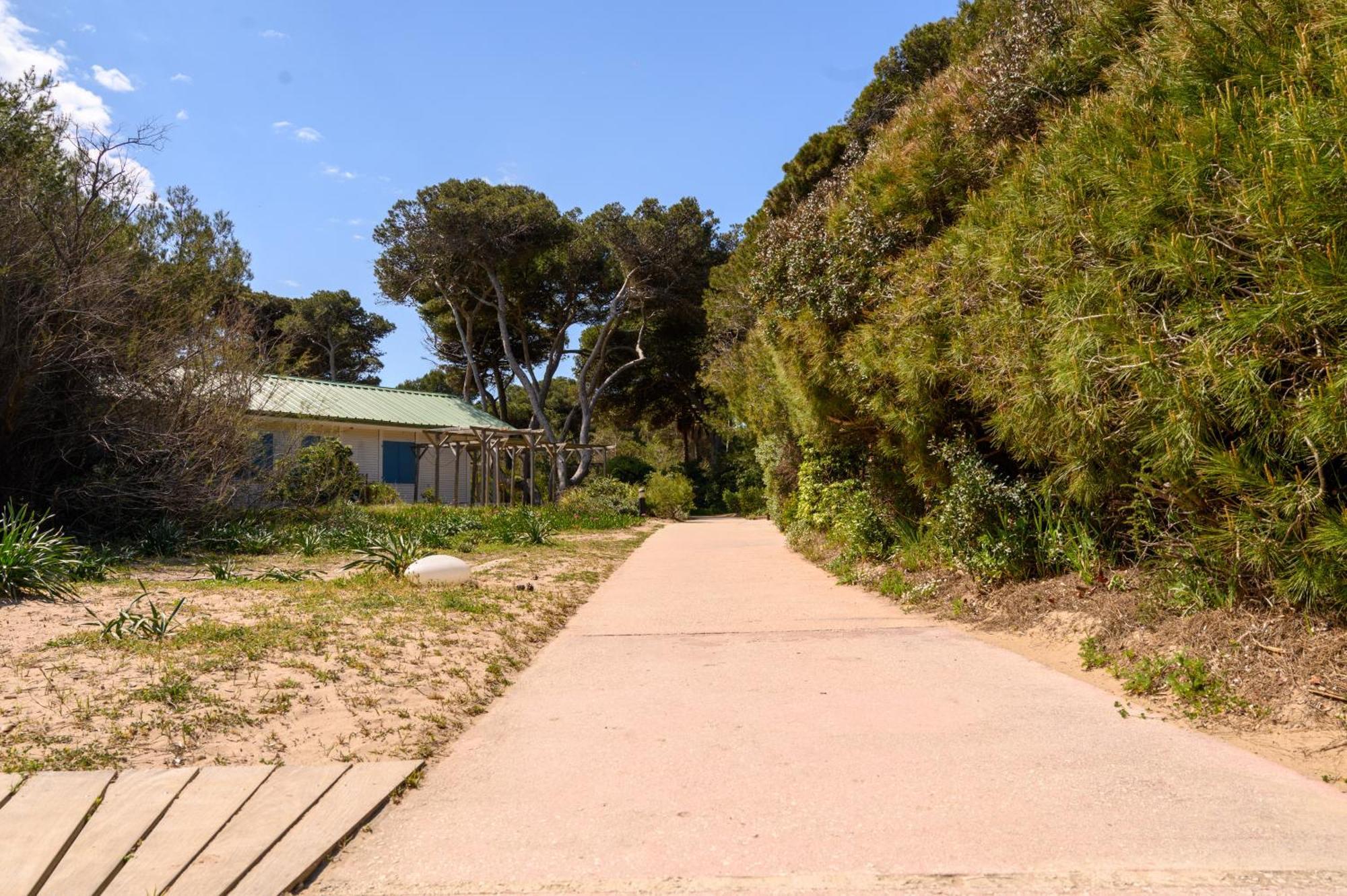 Le Studio De Giens Hyères Zewnętrze zdjęcie